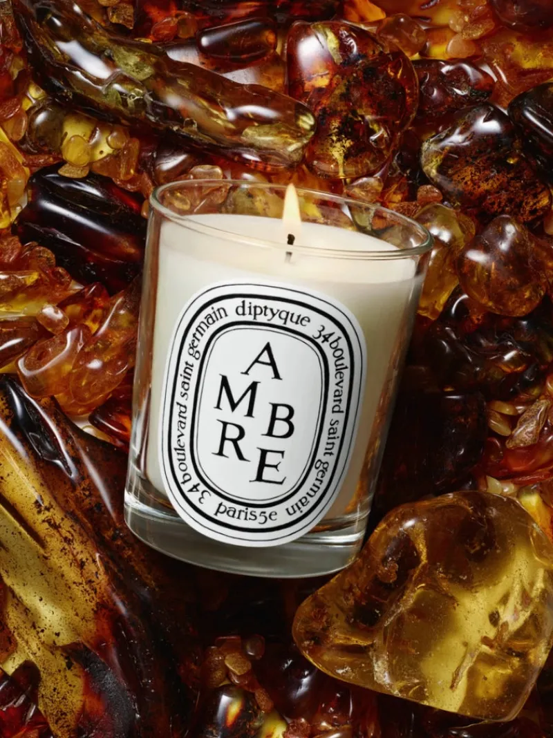 Candles & Scent>DIPTYQUE Amber Small Candle