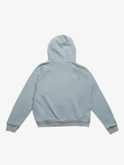 Sweats & Hoodies>POLO RALPH LAUREN Classic Fit Hoodie