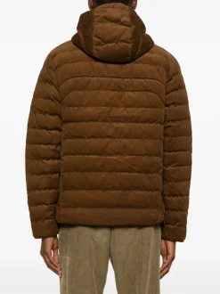 Jackets & Coats><noscript><img data-lazyloaded=