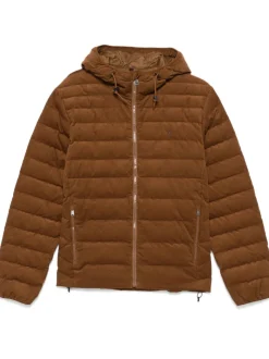 Jackets & Coats><noscript><img data-lazyloaded=