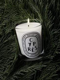 Candles & Scent><noscript><img data-lazyloaded=