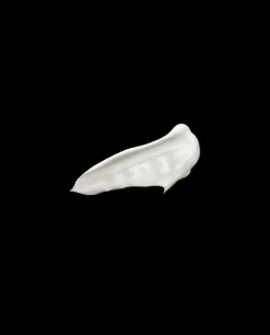 Body><noscript><img data-lazyloaded=