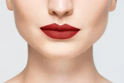 Body><noscript><img data-lazyloaded=