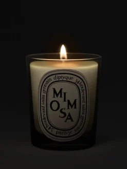Candles & Scent>DIPTYQUE Mimosa Classic Candle