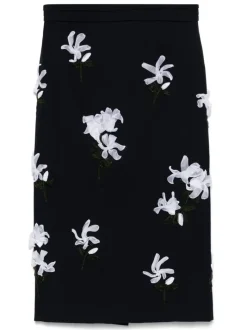 Skirts><noscript><img data-lazyloaded=