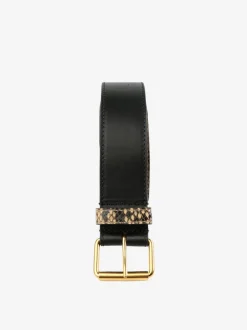 Small Accessories><noscript><img data-lazyloaded=
