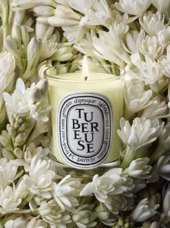 Candles & Scent><noscript><img data-lazyloaded=