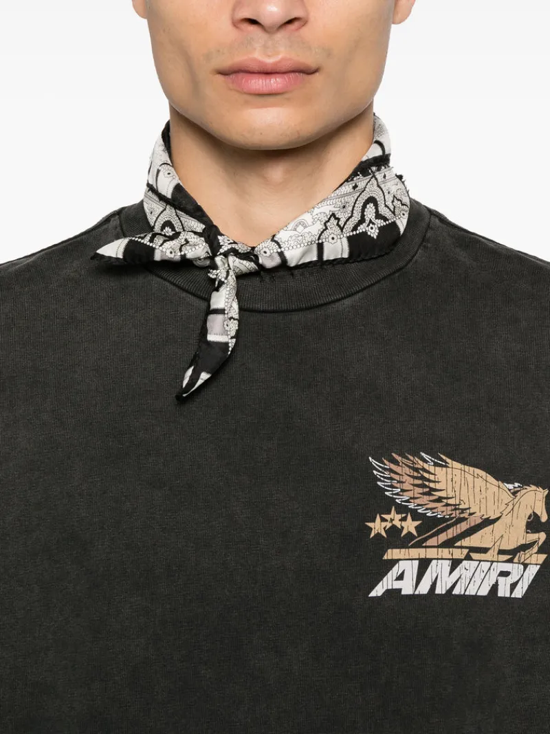T-shirts>AMIRI Vintage Pegasus OS Tee